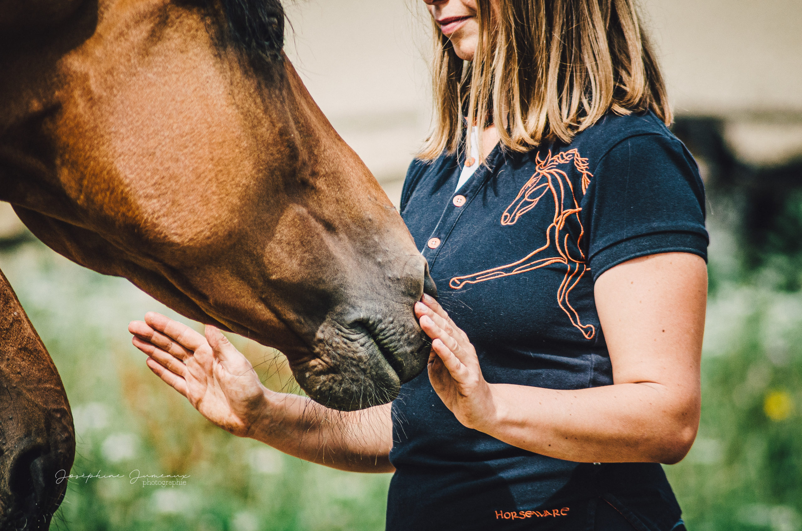 reiki animaux