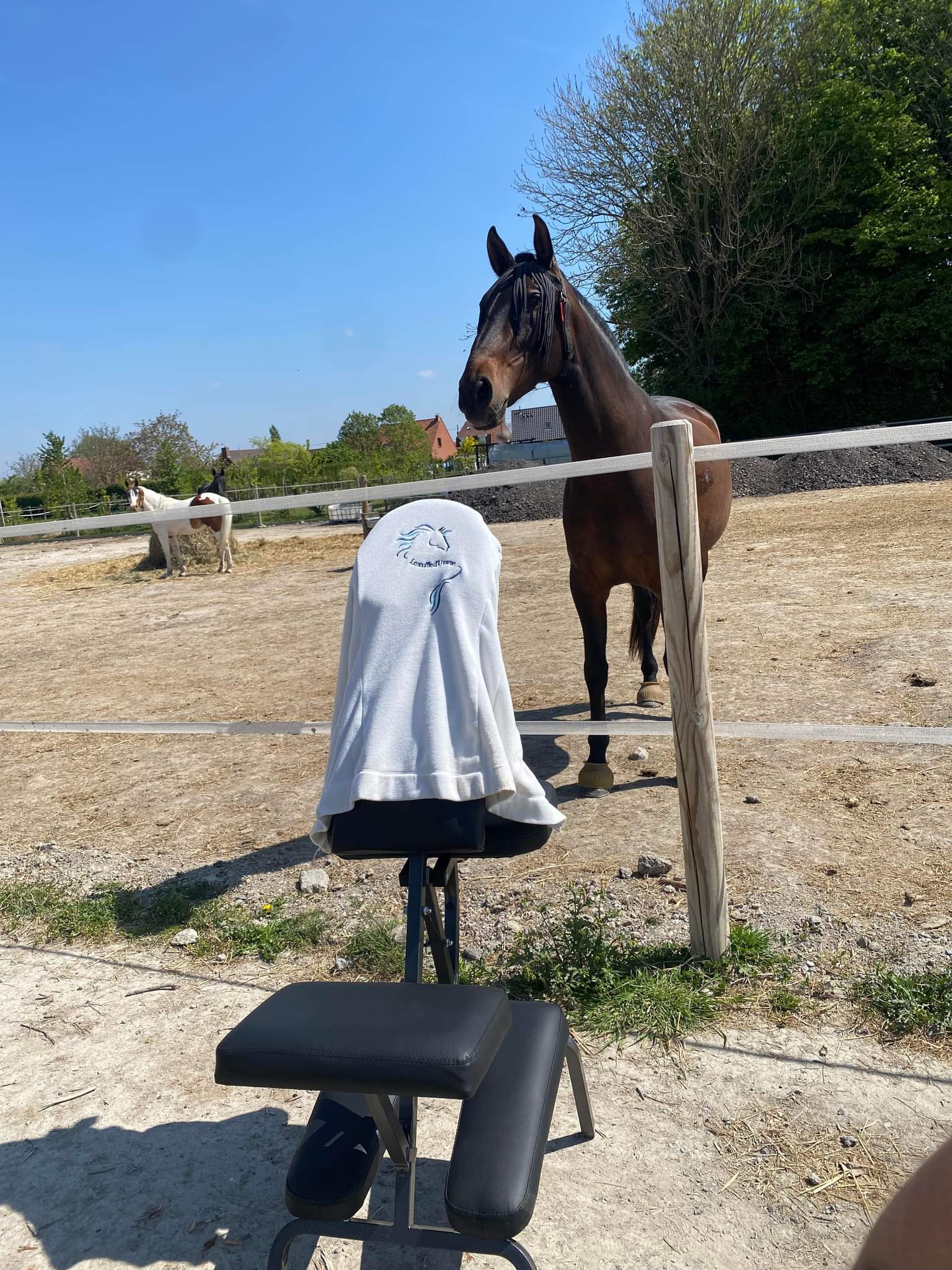 massage cranien le souffle d'uranie